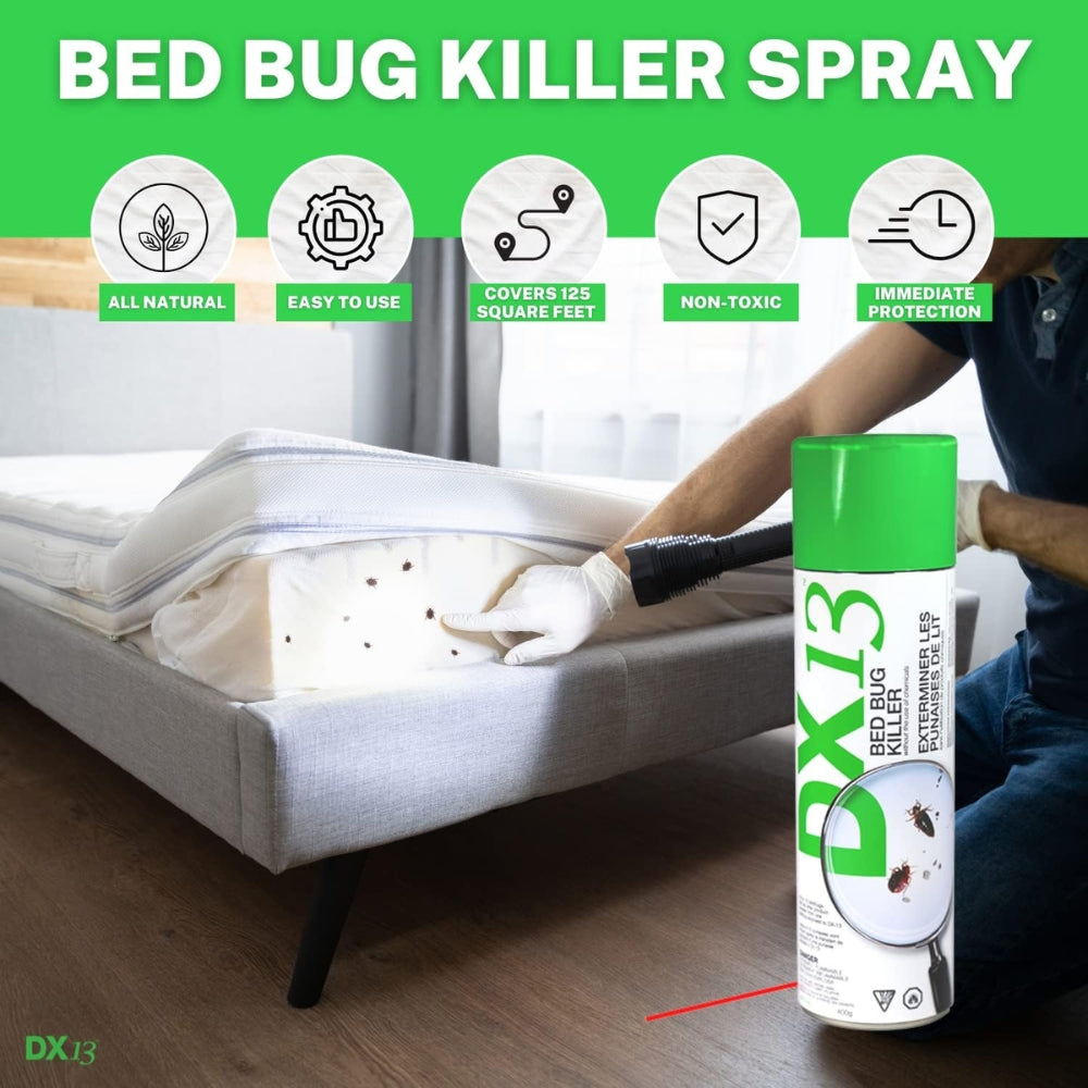 Natural Bed Bug Killer Spray: Your Complete Guide to DX13